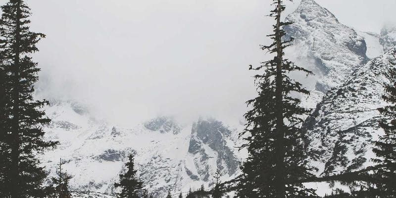 Cybersecurity Workshop: Defending Local Networks